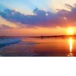Beachers