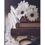 Book Club Reading, Writing And More!