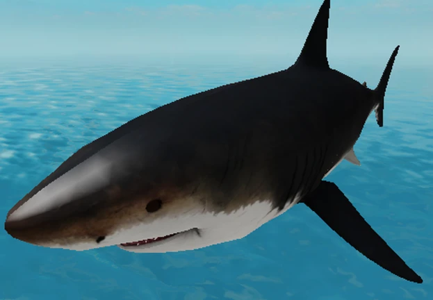 Stranded(Preview) thumbnail