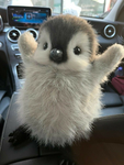 Penguin lord fr