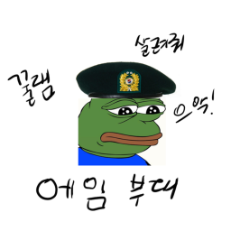 에임 부대