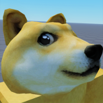 doge kingdom!!