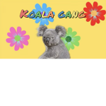 Aussie Koalas