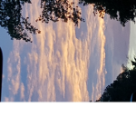SunsetFloW.er