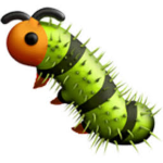 Cool Grubs