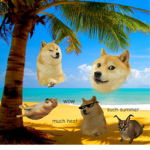 Summer doge fan club