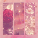 Aesthetic sqaudz