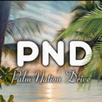 Palm Nation Drive