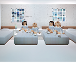 The Bloxburg Chicks
