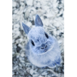 Blue cr!!ps forever