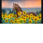 Horse_Lovers