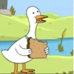 The Duck Gang/School
