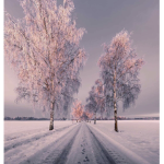 lightoflife