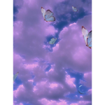 AestheticsKandys