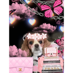 If you love dogs and puppies join this group
