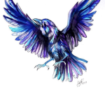 The Night ravenz