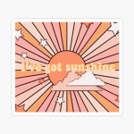 Sunny’s Sales