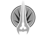 Dark Zealot