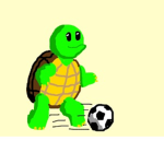 Turtle balls group