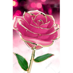 KRYSTAL ROSES
