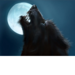 The Were Wolfs