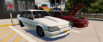 wildvicrides