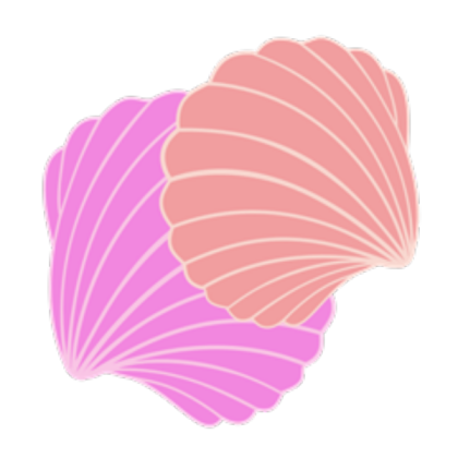 Seashells- Pink and Orange Roblox decal