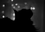 ⋅ starr gazing ⋅ Group Thumbnail