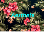 Aesthete Designer Clothing