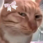 ୨୧ UwU Gang ୨୧