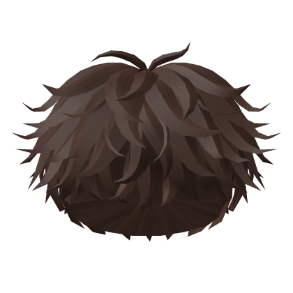 Super Messy Fluffy Boy Hair Brown