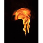 Wastelands Little Fire