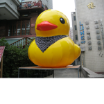 Offical Duckie Group