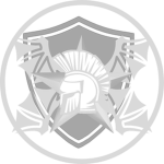 cool medieval roleplay group