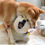 cool boiiiiiiiiiiiiiiiiiiiiiiiiiiiis