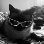 this is dyrka