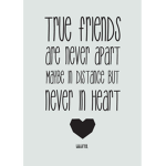 Fab ‘n Friends