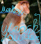 Monkey Visionaries