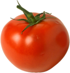 Tomatonator Studios