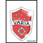 Vongola Varia Assassin Squad