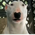 whaaaaaaaaaaaaaaaaaaaaaaaaaaaaa