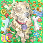 Playing Dog