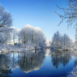 Winter Frosty Hangout