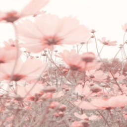 ♡