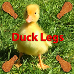 Duck Legs