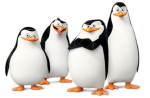 Pengin Group