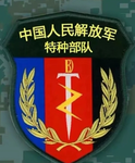 中国人民解放军特种兵