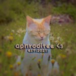 aphroditee <3