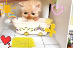 Cute & small