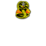 ||-Cobra Kai Karate-||